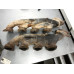 98T001 Exhaust Manifold Pair Set For 04-10 Ford F-150  5.4 3L3E9430DA